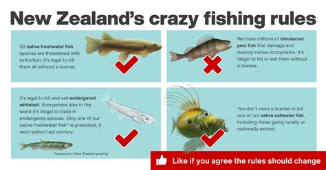 nz fishing rules app|Fish & Game New Zealand .